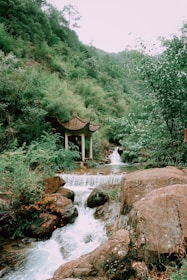 a small waterfall running through a lush green forest