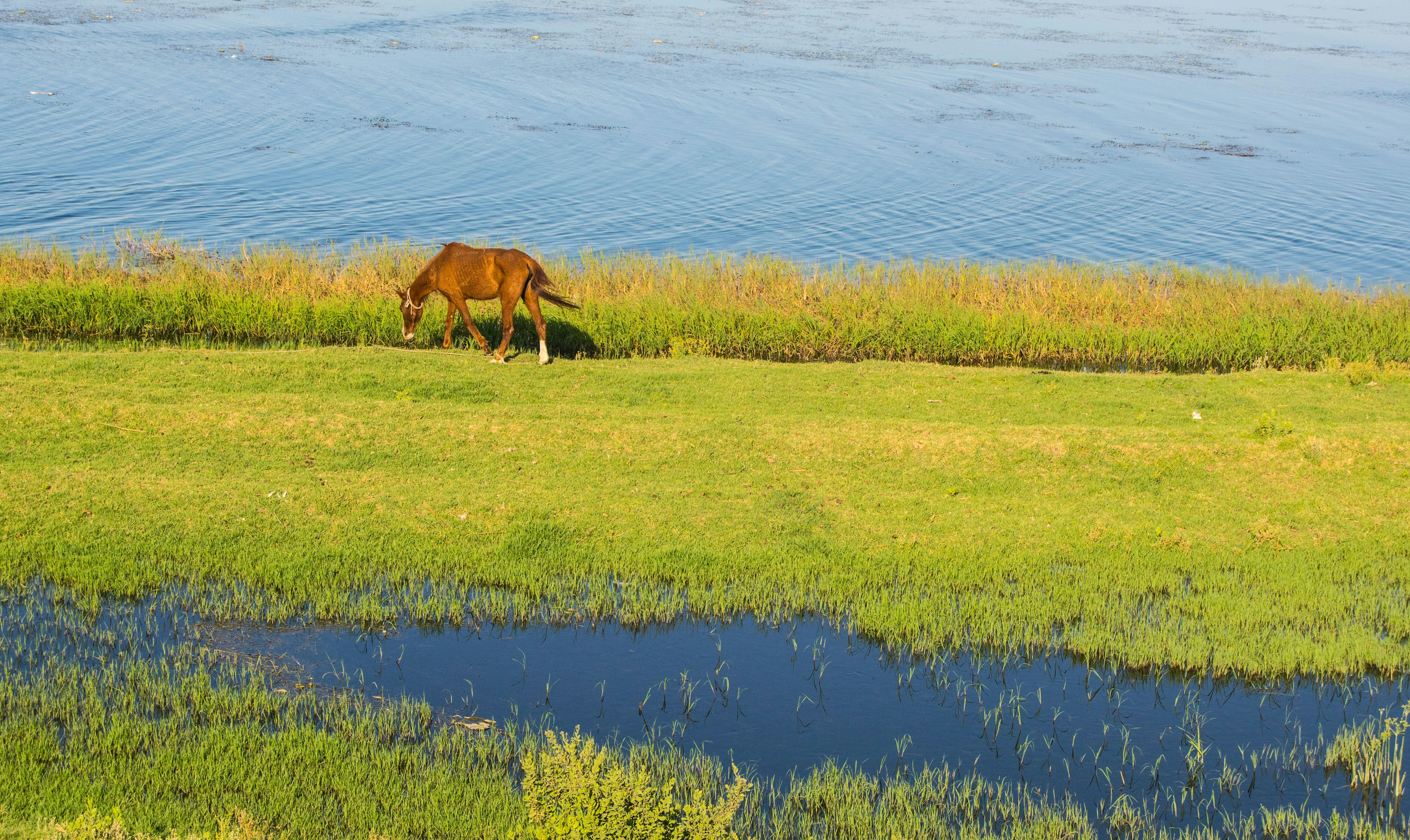 Photo by sameh_from_egypt