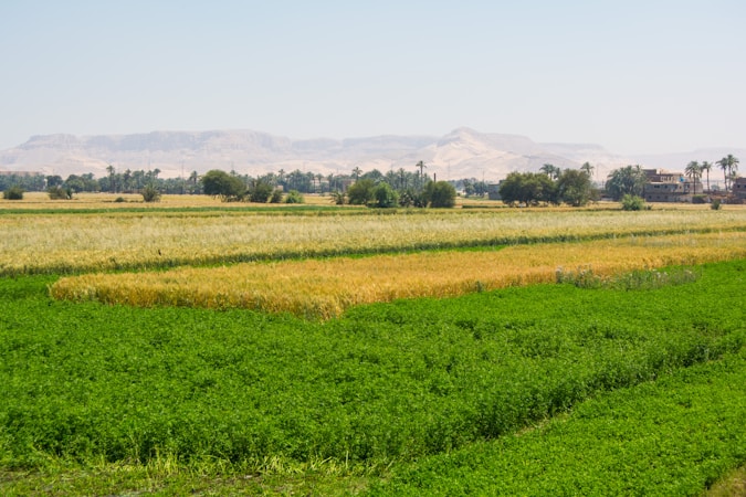 Understanding Dr. Coskun Serefoğlu’s Expertise in Agriculture and Climate Development