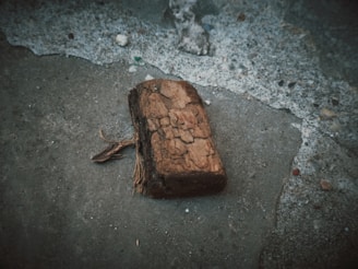 A piece of weathered wood rests on a rough textured concrete surface. The wood appears old and cracked, and the concrete is mottled with small pebbles and patches of lighter and darker shades.
