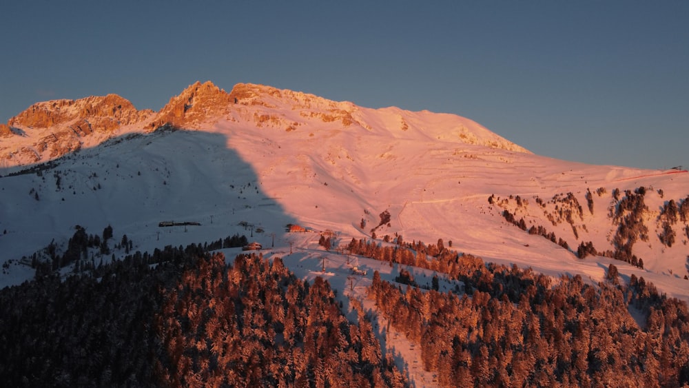 una montaña cubierta de nieve con árboles en el costado