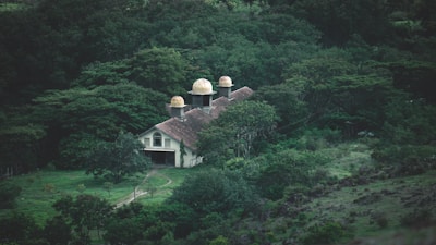 Spacious land plot surrounded by trees in Alphaville