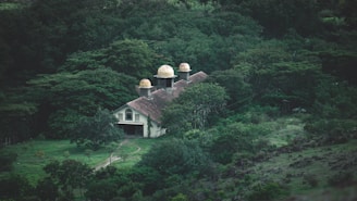 Spacious land plot surrounded by trees in Alphaville