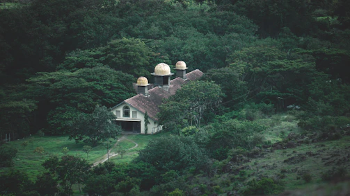 Spacious Godrej villa surrounded by trees.