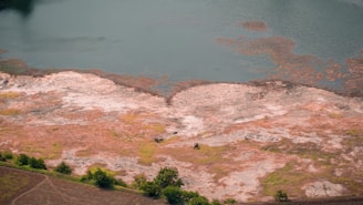 An aerial view of a landscape with a large body of water at the top, transitioning to an expansive area of land. The land has patches of green and orange tones, suggesting a mixture of grass and bare soil. There are a few scattered trees and what appear to be animals or people, small in the scale of the image, moving across the landscape.