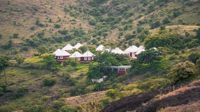 a group of houses sitting on top of a lush green hillside