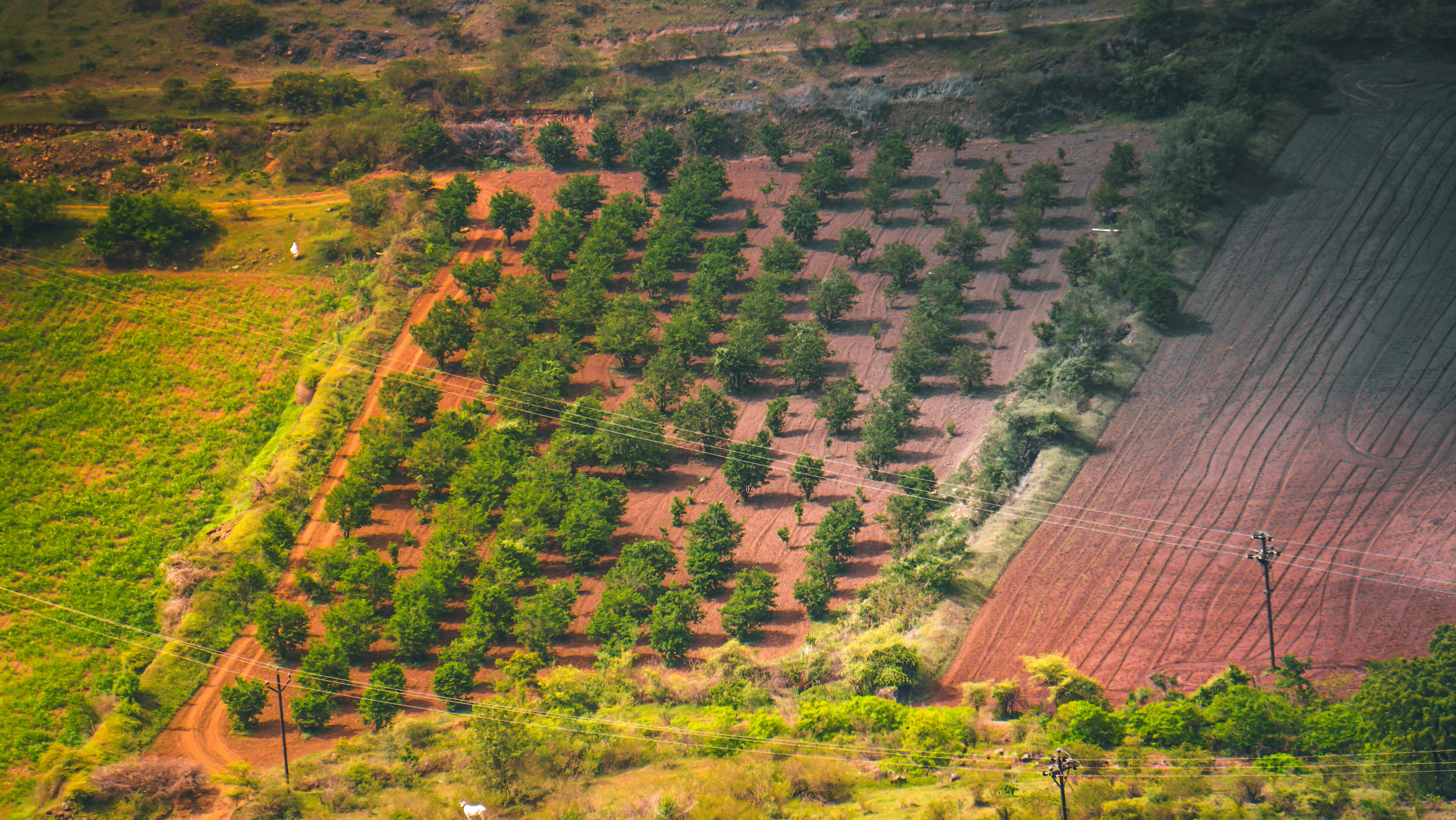 Permaculture Principles: How Morocco is Paving the Way for Sustainable Agriculture