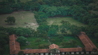 Aerial view of the academy nestled among olive groves and rolling hills.