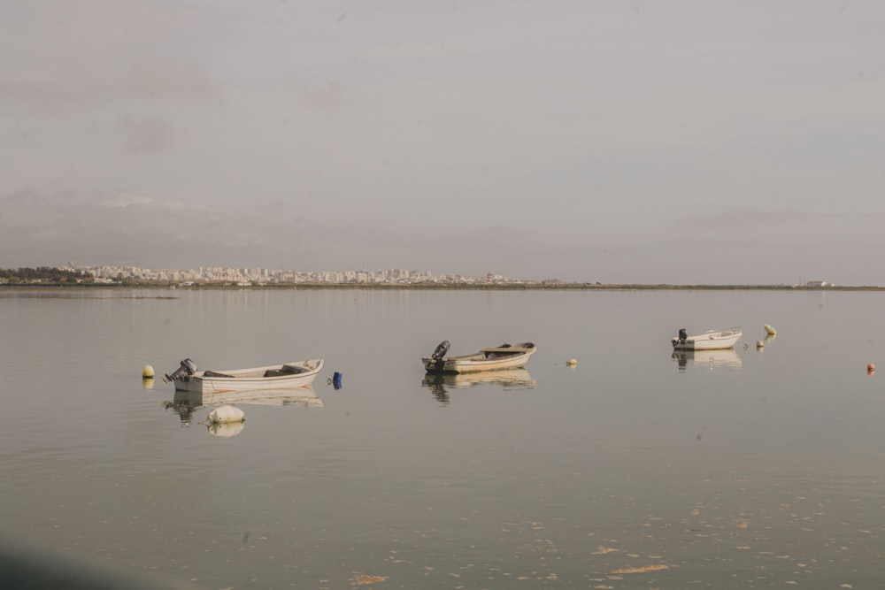 a couple of small boats floating on top of a lake