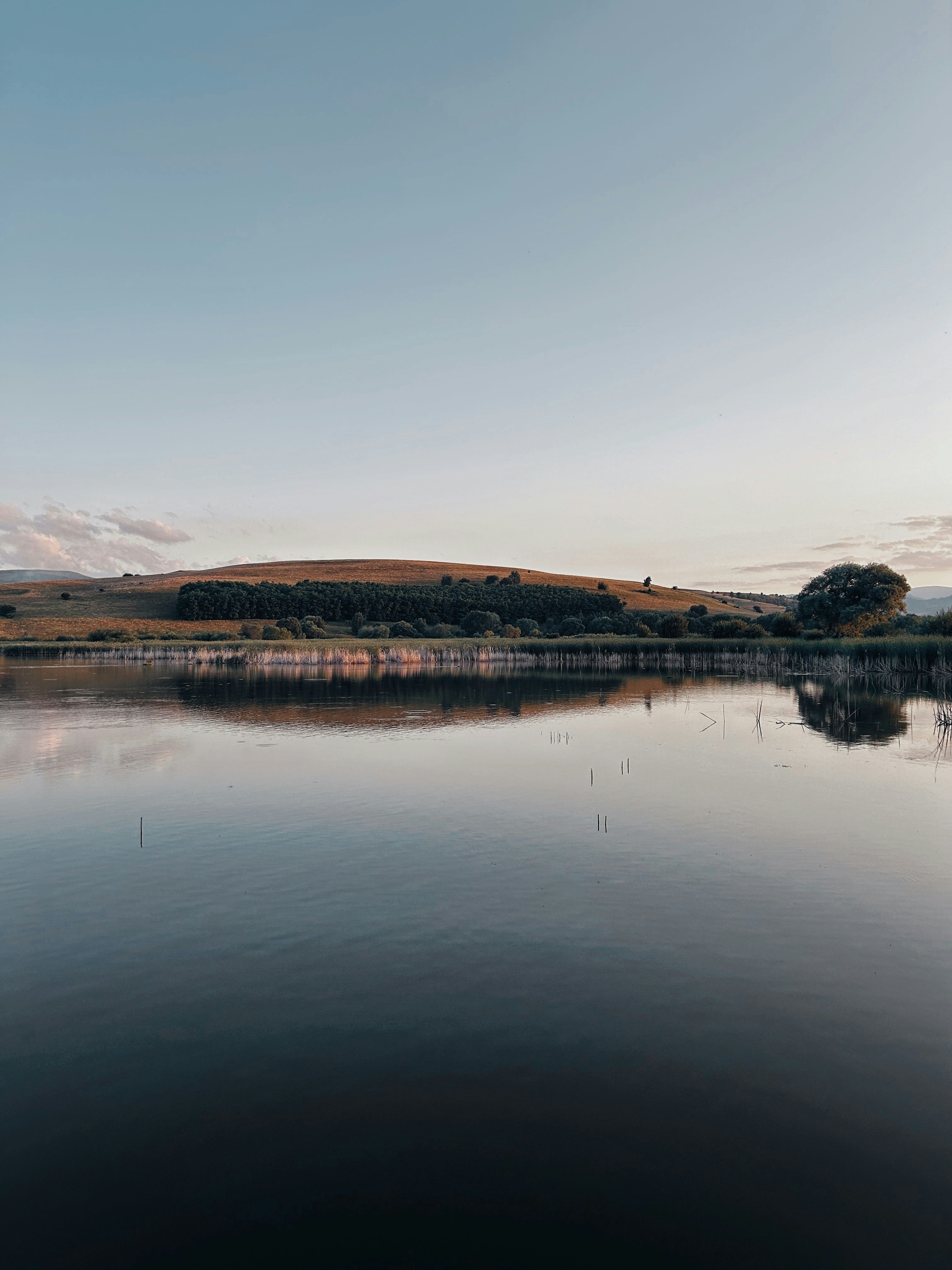 Photo by razvan_trif