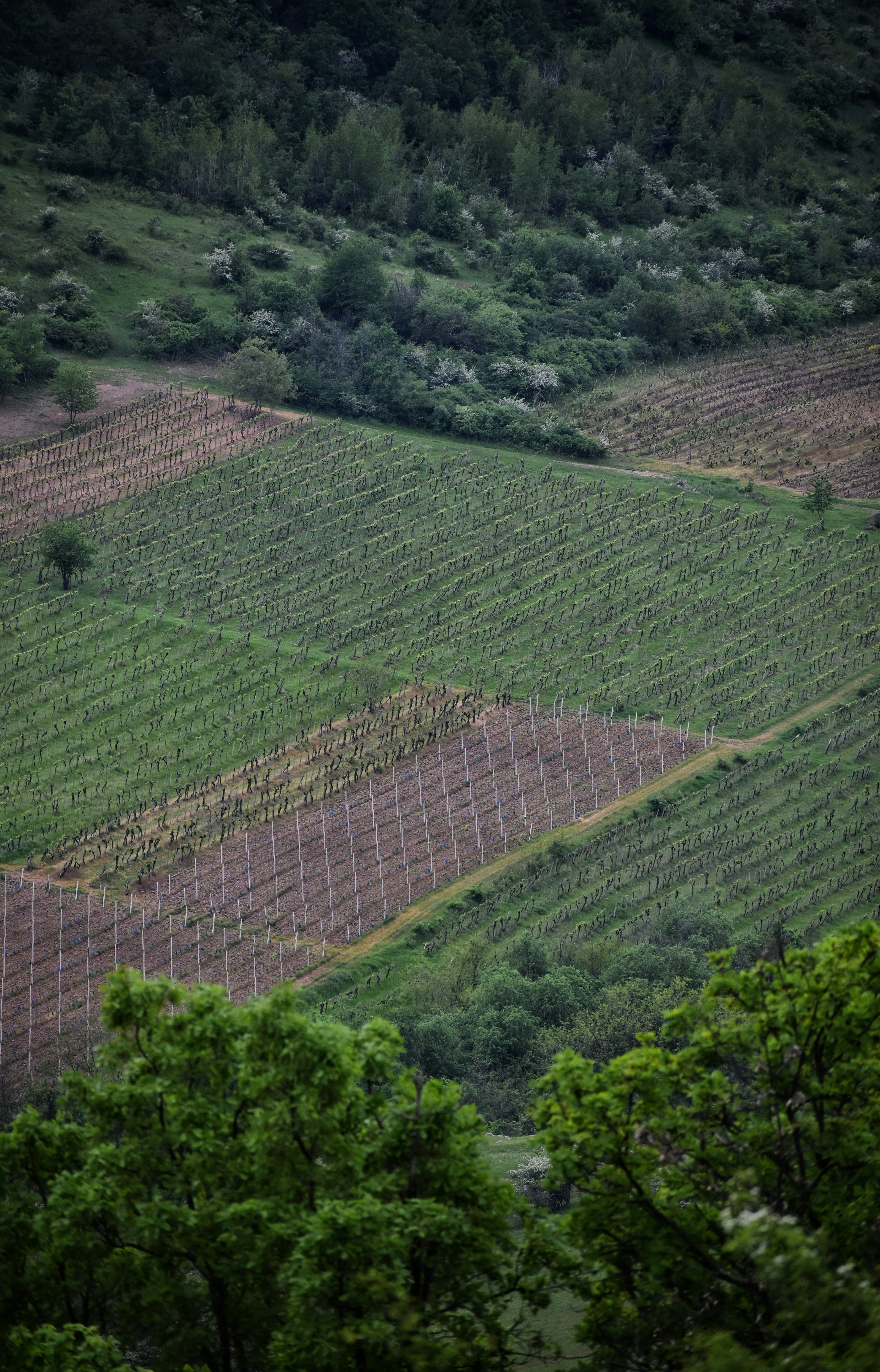 Photo by razvan_trif