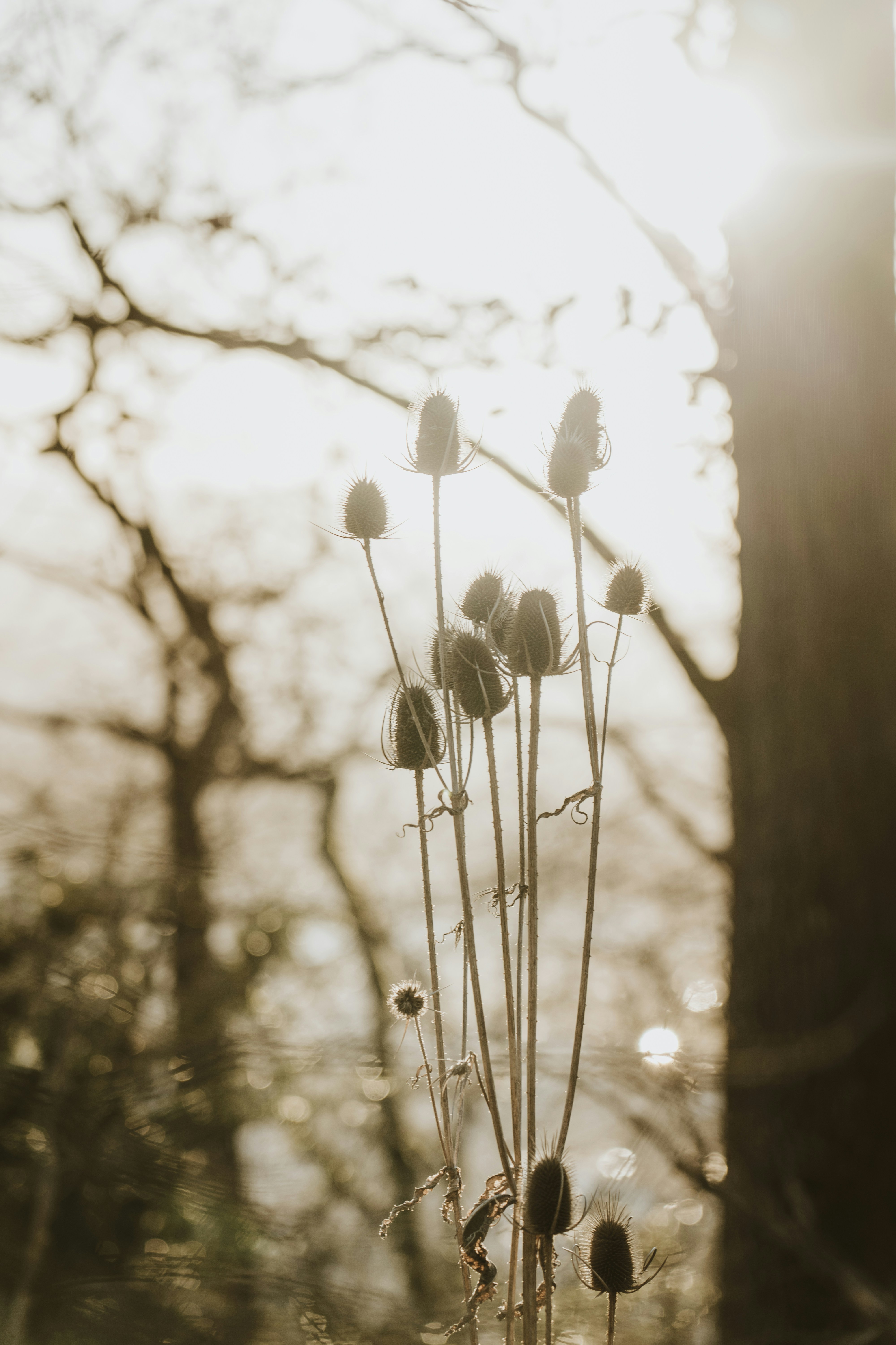 Photo by what_co_capture