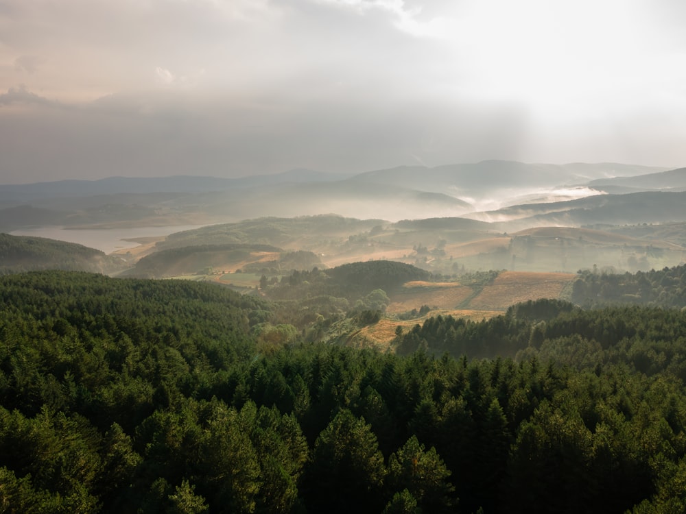 a view of a valley with trees in the foreground