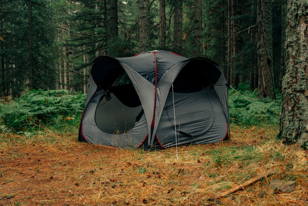 a tent in the middle of a forest