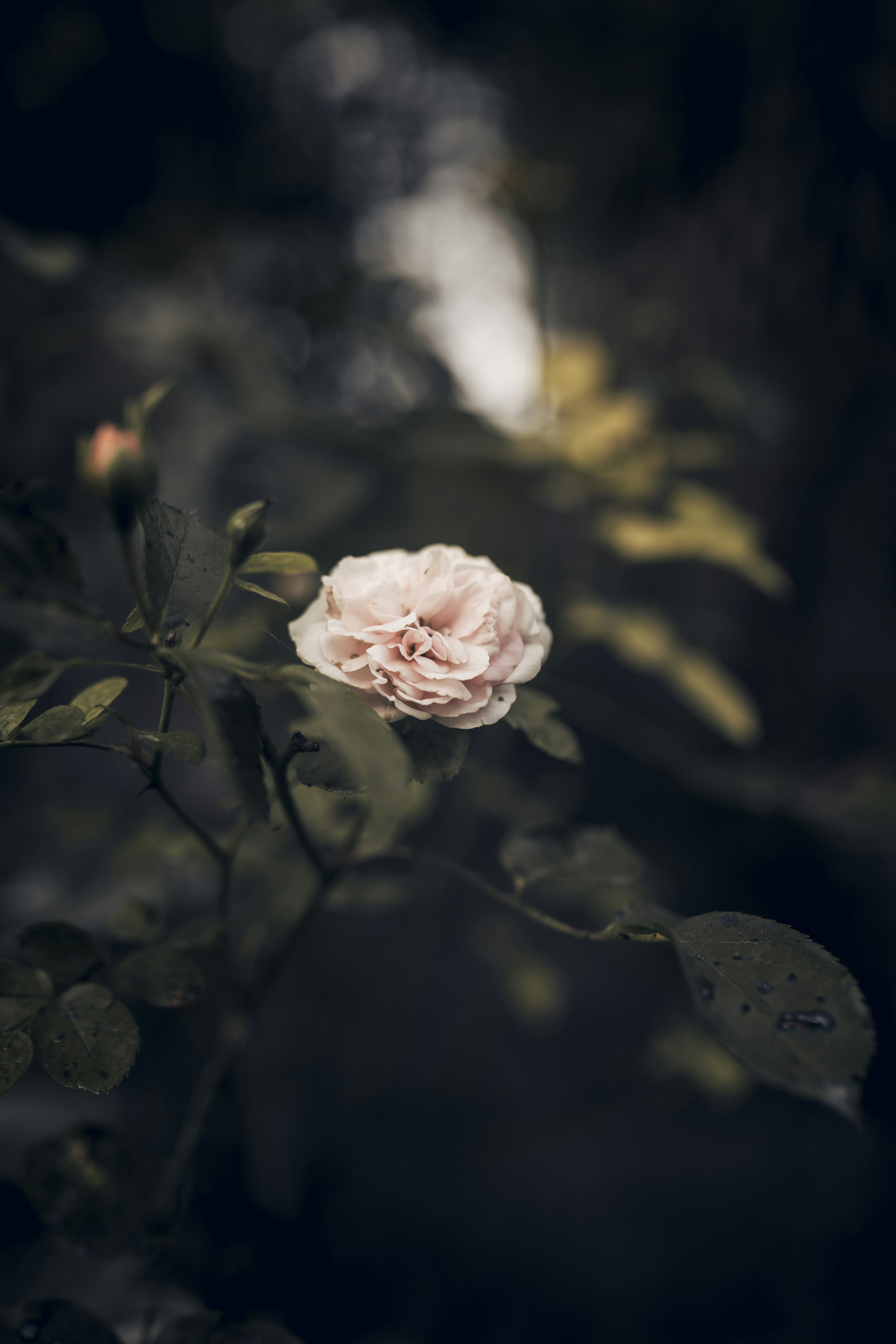 Photo by what_co_capture