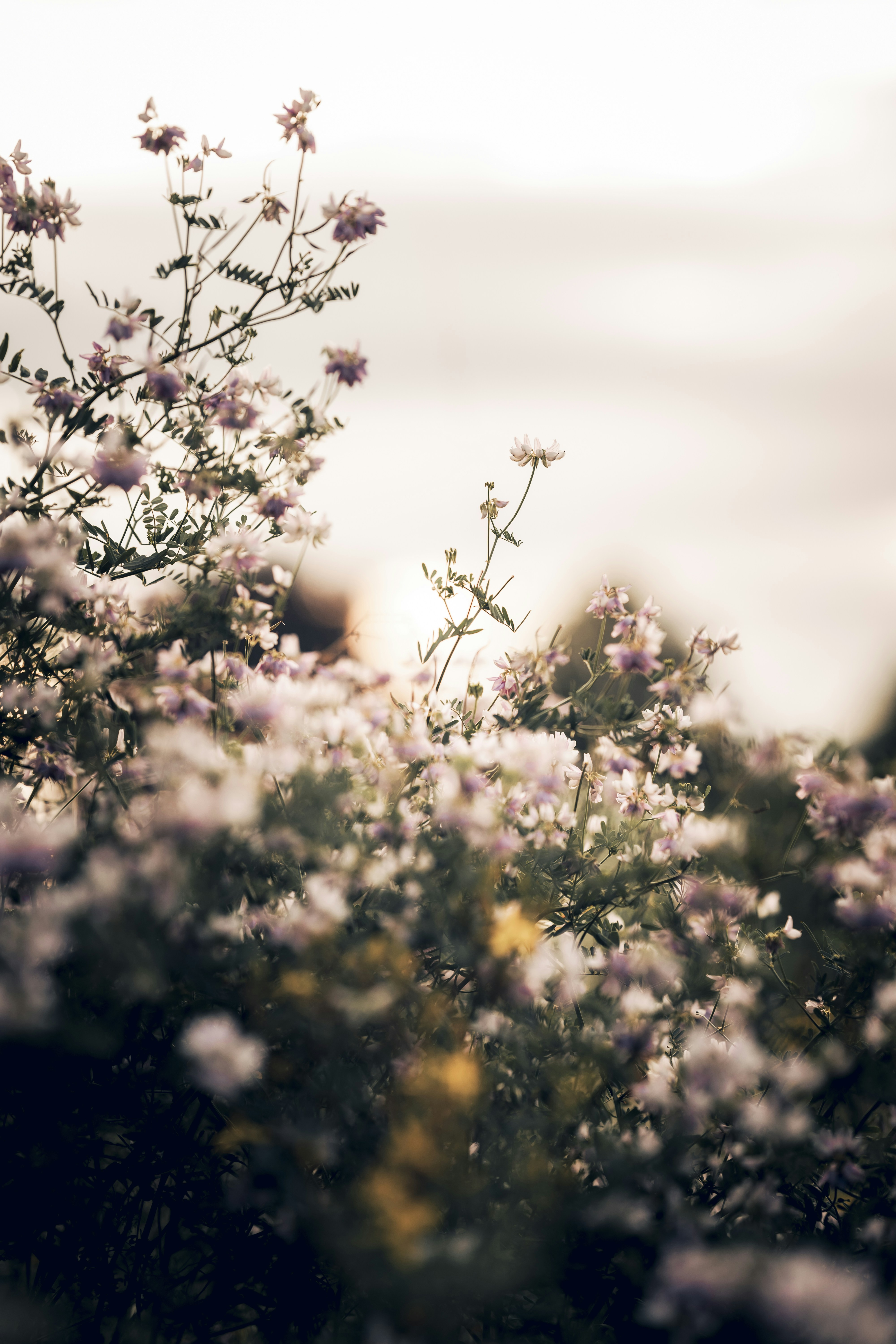 Photo by what_co_capture