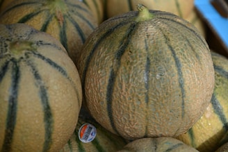 A close-up view of several cantaloupes with their textured, netted skin and distinct greenish-grey stripes. One cantaloupe has a small sticker attached to it. The melons are piled together, giving a sense of abundance.