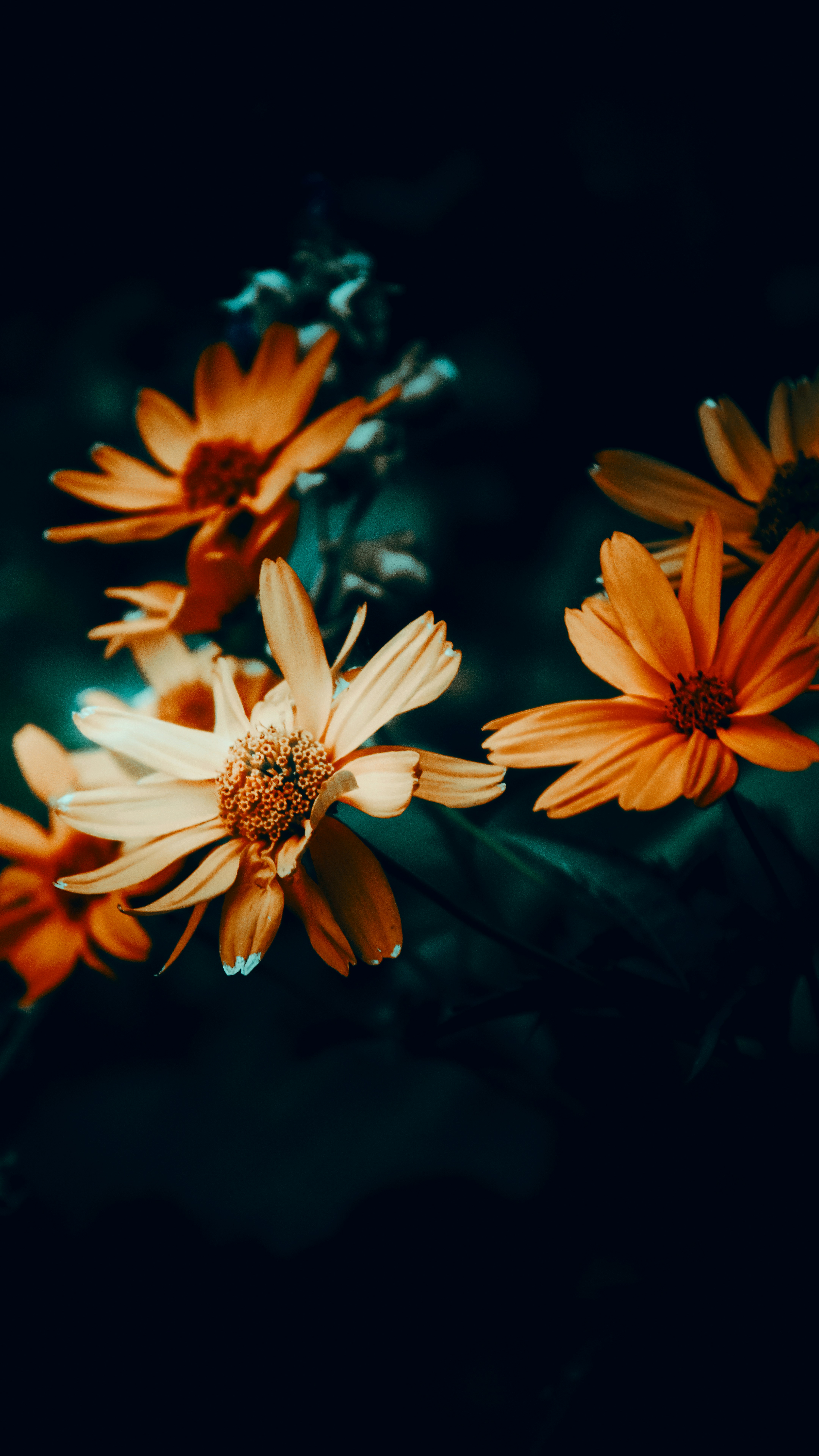 Photo by impermanent