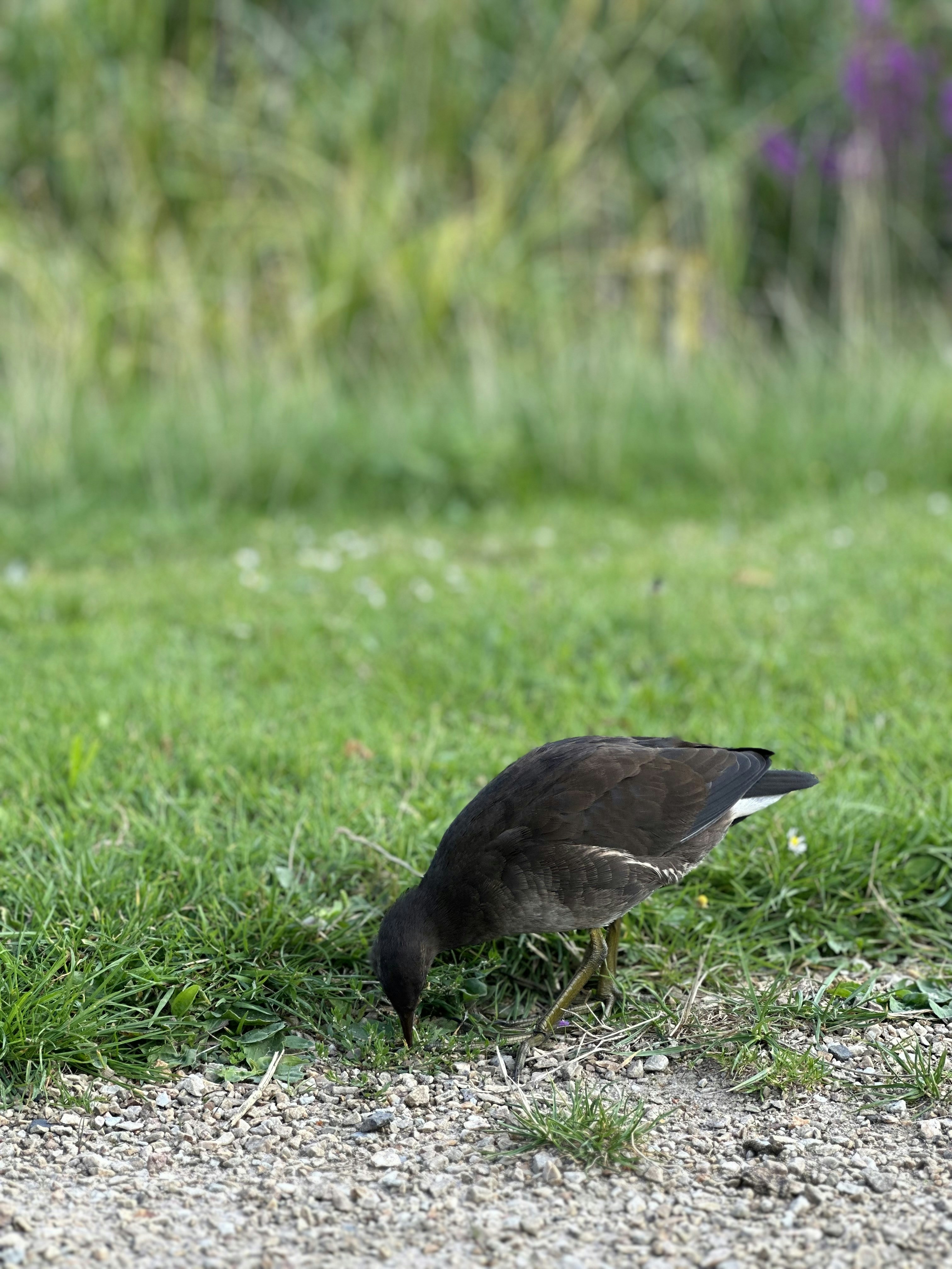 Photo by khashayar68