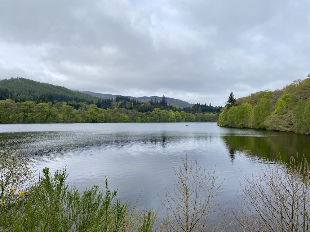 a large body of water surrounded by trees