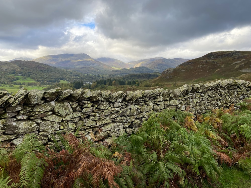 a stone wall in the middle of a field