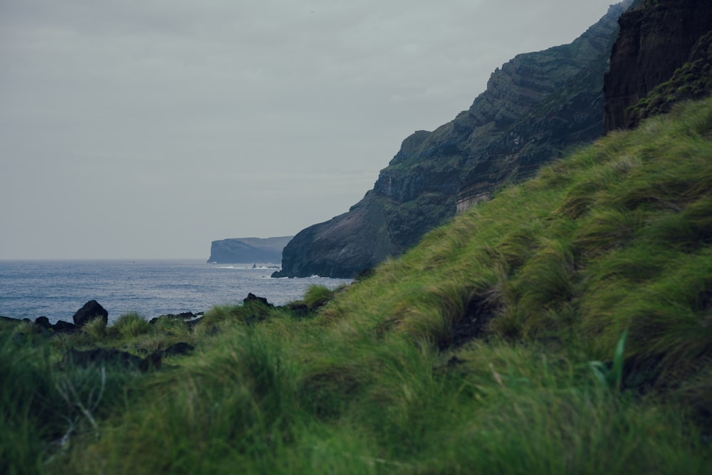 a grassy hill with a body of water in the background