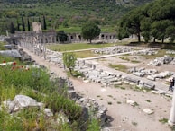 Wide view of the archaeological site with scattered columns and lush greenery.