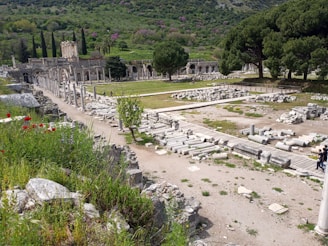 Wide view of the archaeological site with scattered columns and lush greenery.