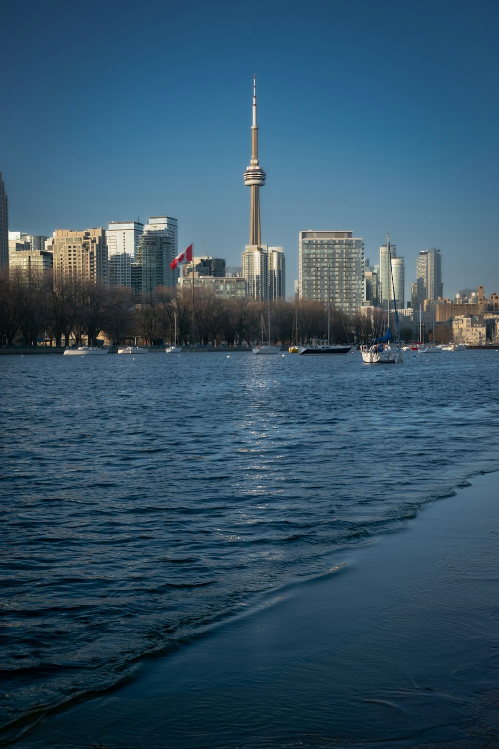 a body of water with a city in the background