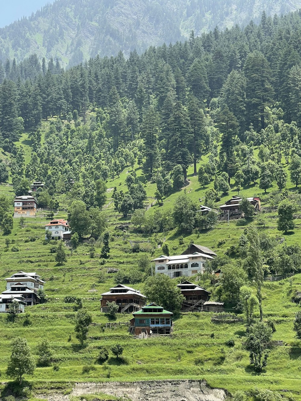 a group of houses sitting on top of a lush green hillside