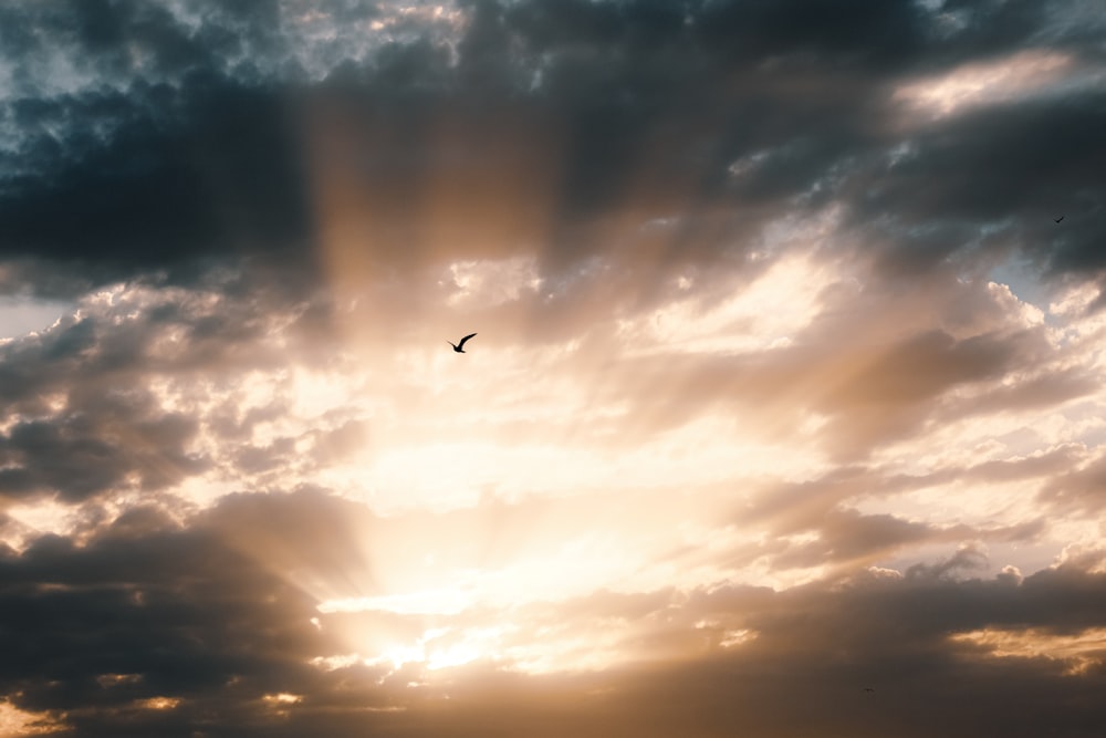 a bird flying through a cloudy sky at sunset