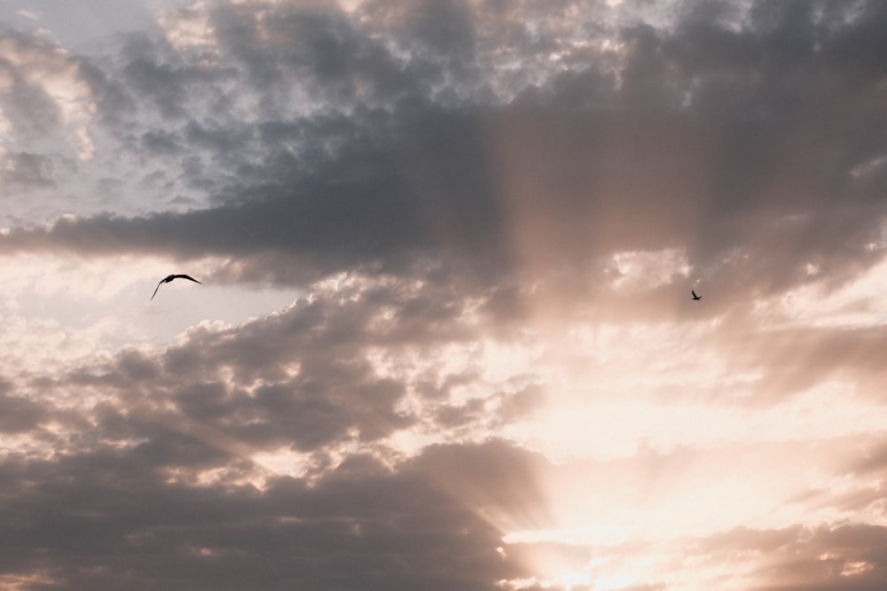 a couple of birds flying through a cloudy sky