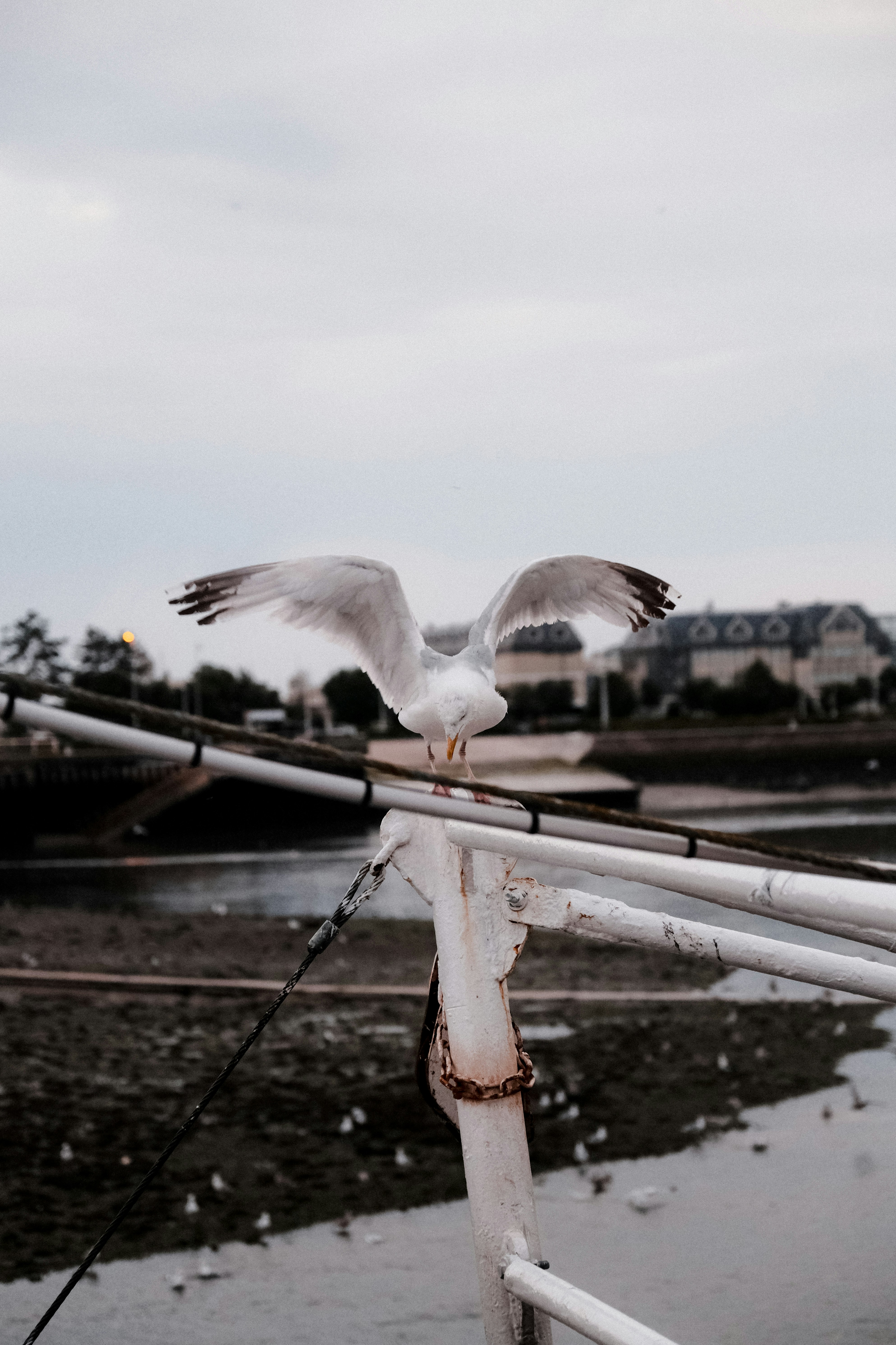 Photo by matreding
