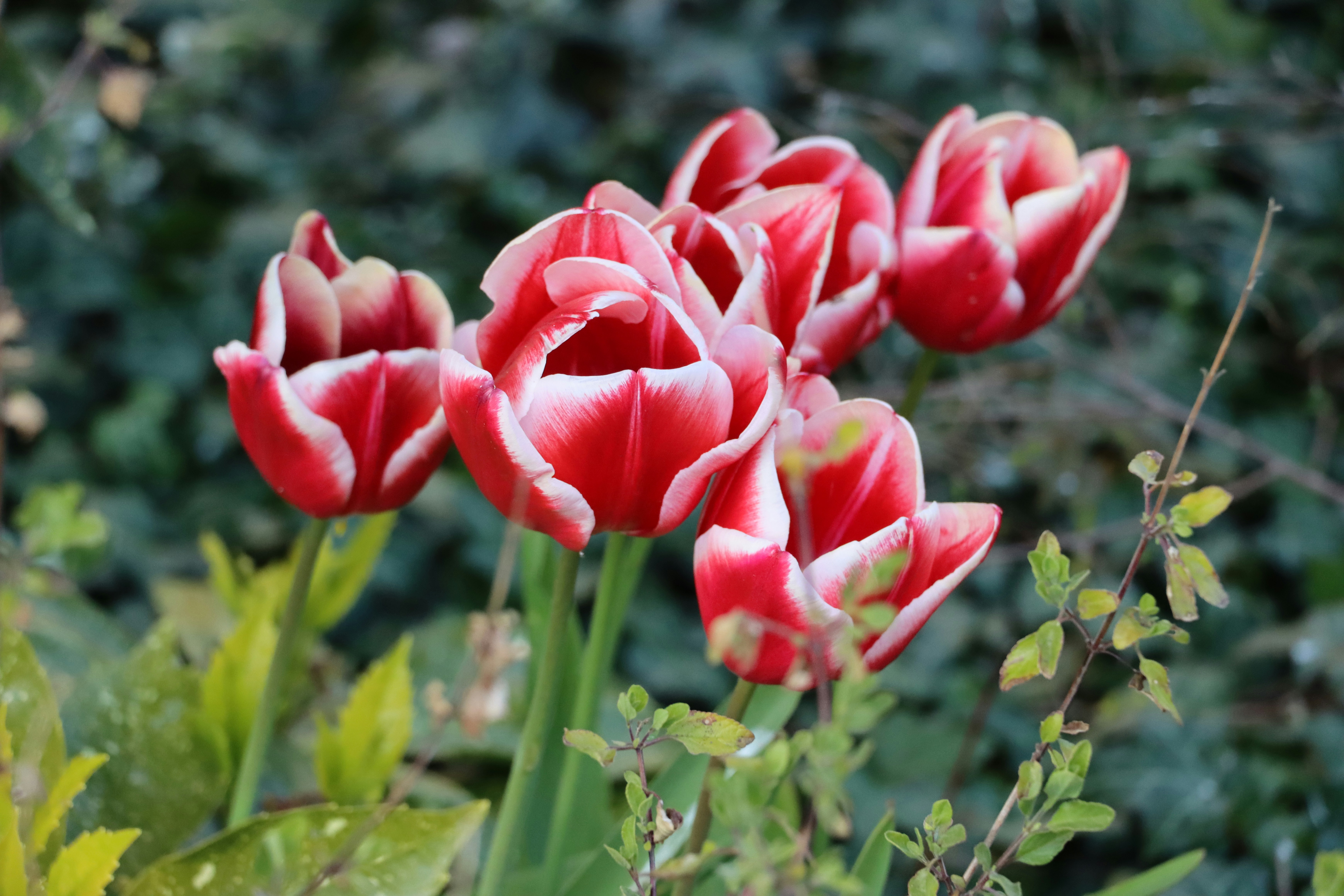 Photo by marissadekogel