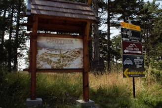 A wooden signboard stands on grassy terrain, displaying information about a medieval town. Another sign nearby advertises an apartment and restaurant, situated amidst tall pine trees.