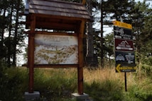 A wooden signboard stands on grassy terrain, displaying information about a medieval town. Another sign nearby advertises an apartment and restaurant, situated amidst tall pine trees.