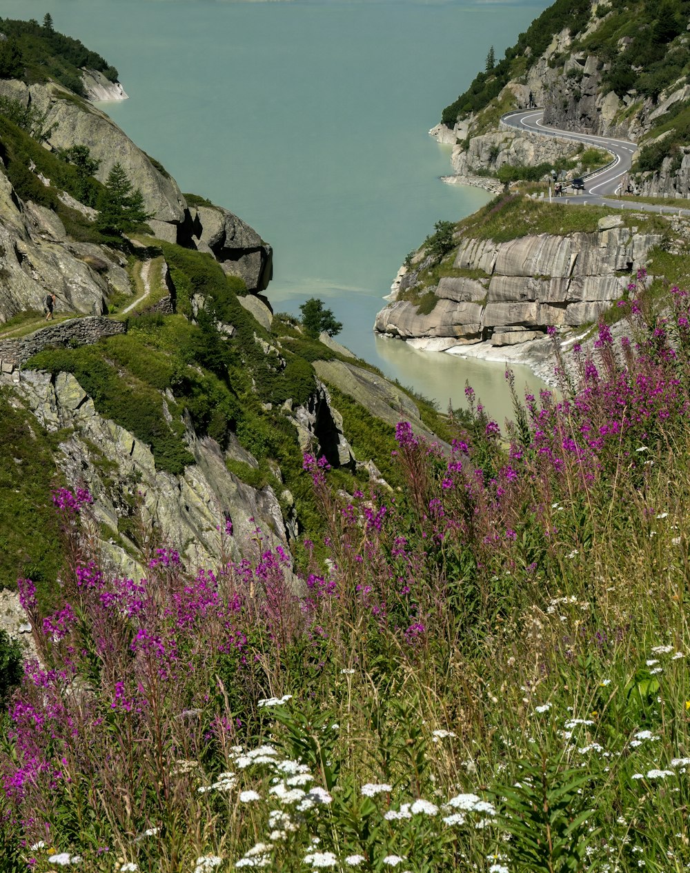 a scenic view of a winding road and a body of water