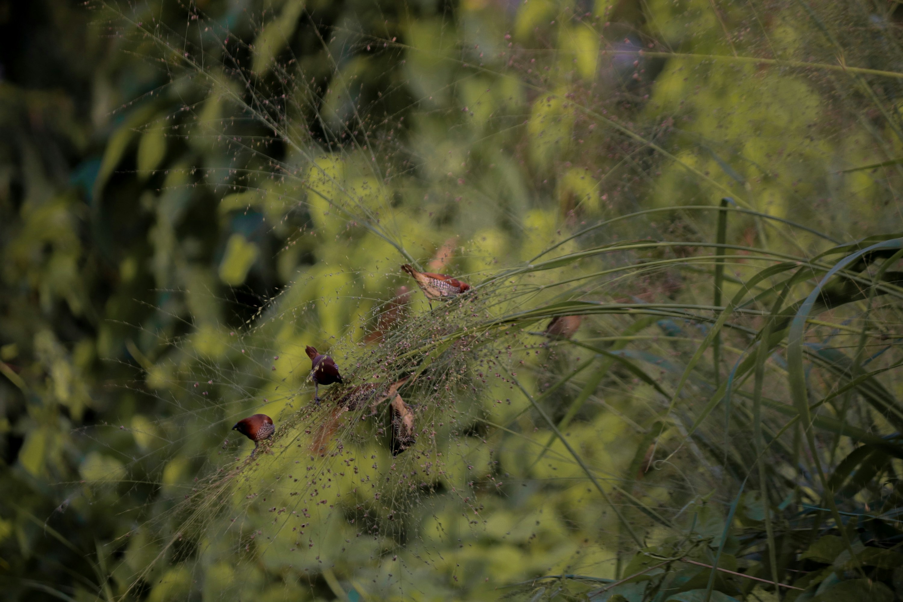 Photo by lucky_cre8ns