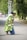 A person wearing a green graduation cap and gown is walking on a road lined with trees. They are holding a small white purse and appear to be looking down. The road is empty except for a few blurred figures in the background.
