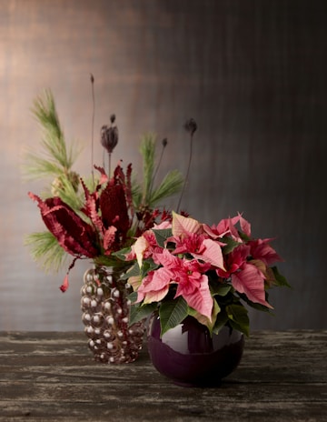 Two vases sit on a textured surface. The left vase is transparent with a bubbled texture, containing an arrangement of red dried flowers and green pine branches. The right vase is a glossy, deep purple pot holding a bouquet of pink poinsettia flowers with vibrant green leaves.