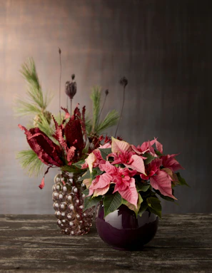 Two vases sit on a textured surface. The left vase is transparent with a bubbled texture, containing an arrangement of red dried flowers and green pine branches. The right vase is a glossy, deep purple pot holding a bouquet of pink poinsettia flowers with vibrant green leaves.