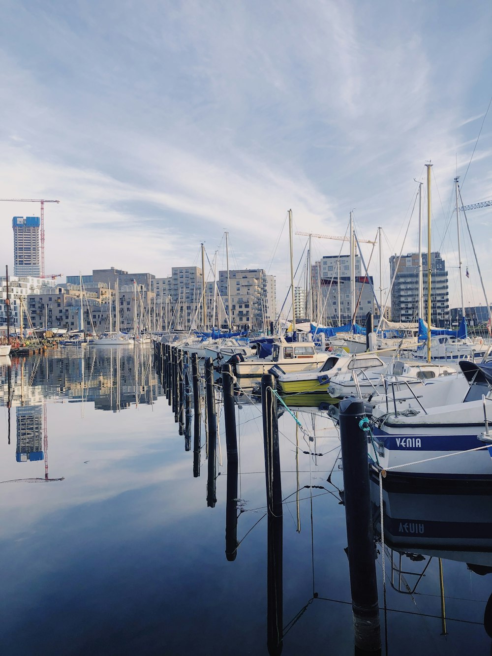 Ein Hafen mit vielen Booten neben hohen Gebäuden