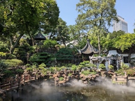 A peaceful garden featuring traditional elements symbolizing wellness and healing.
