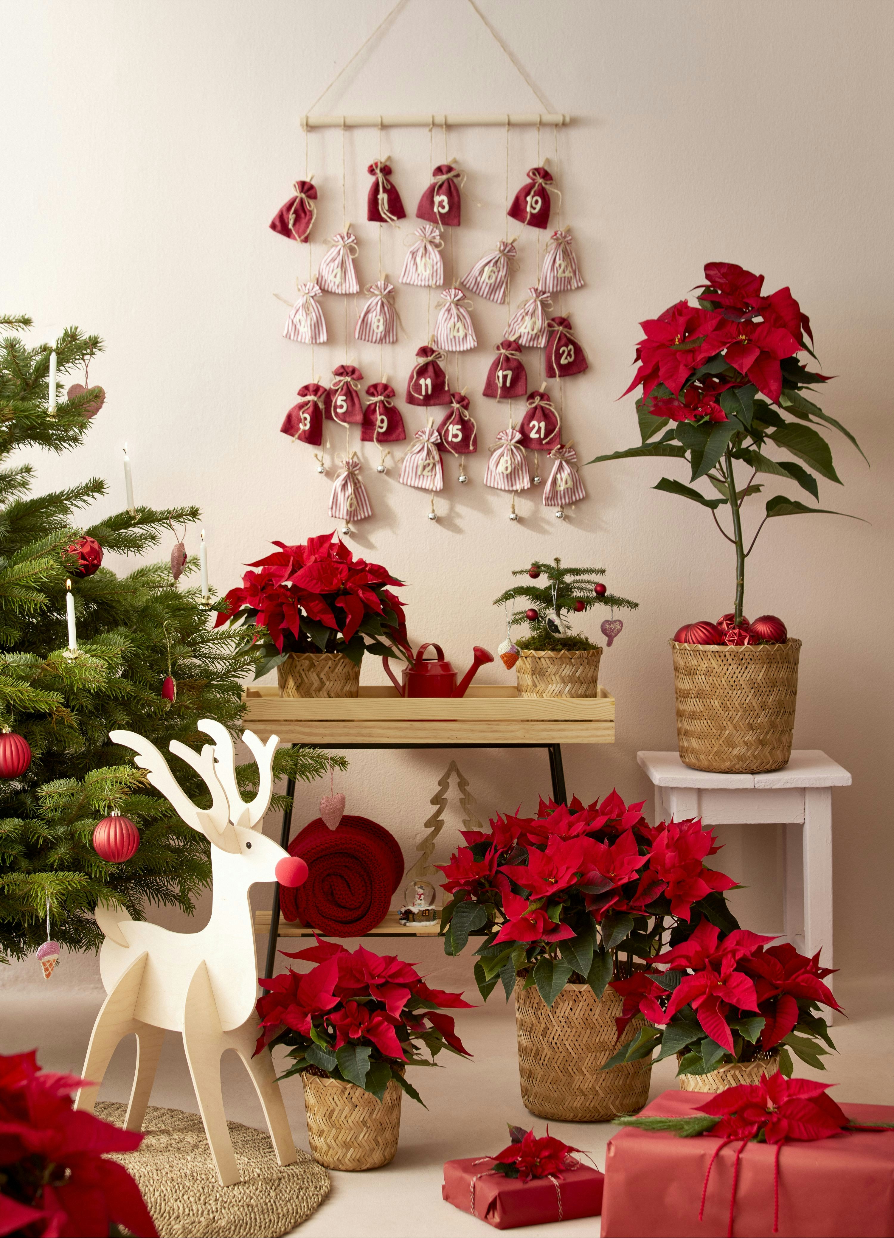 Una habitación con un árbol de Navidad y decoraciones