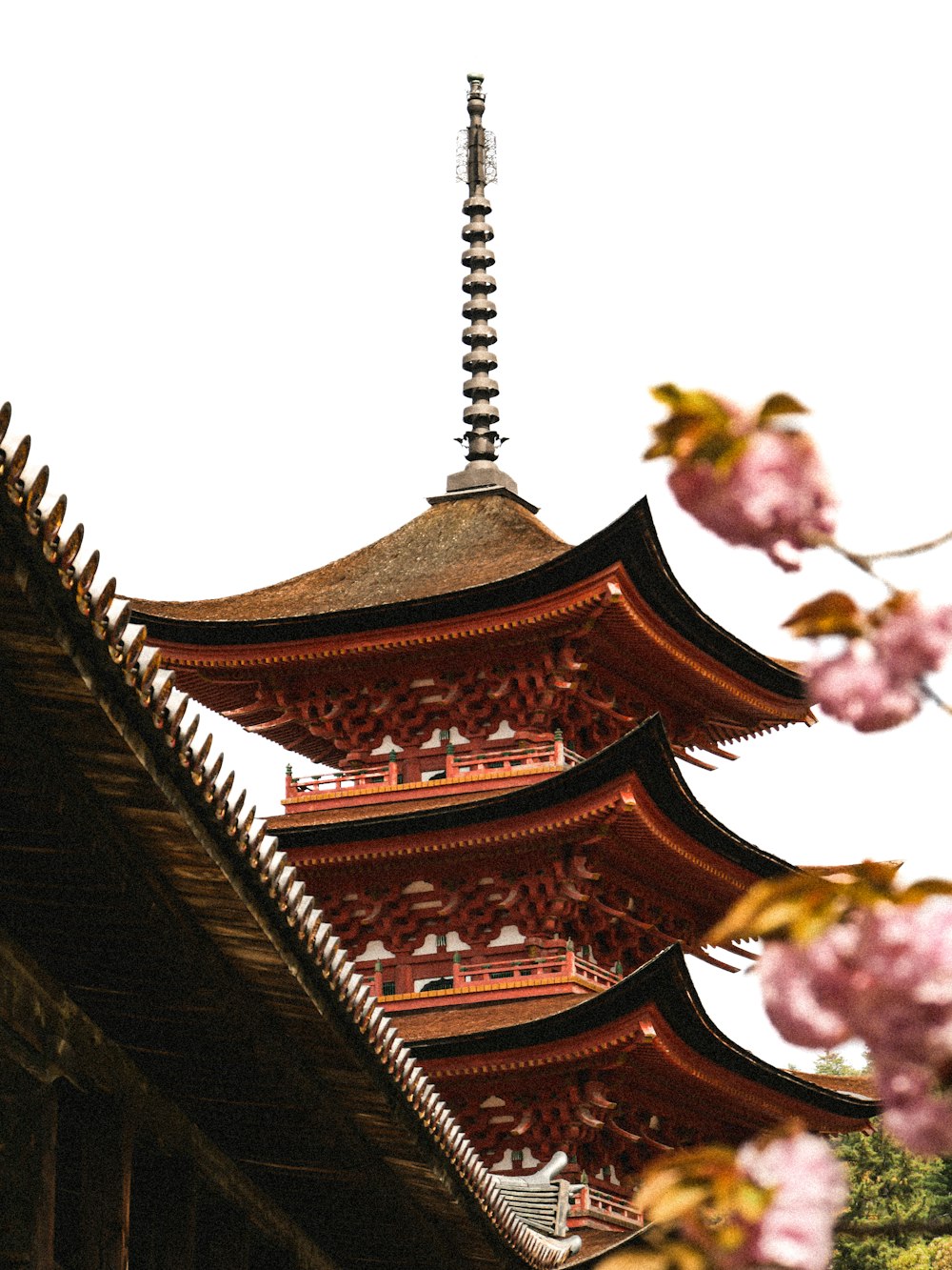 a tall building with a tall tower next to a cherry blossom tree