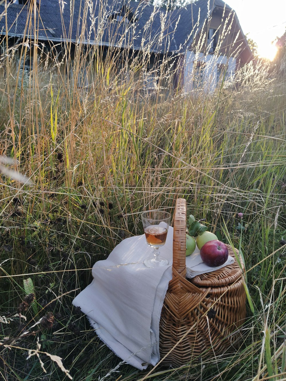 a basket of fruit and a glass of wine in a field