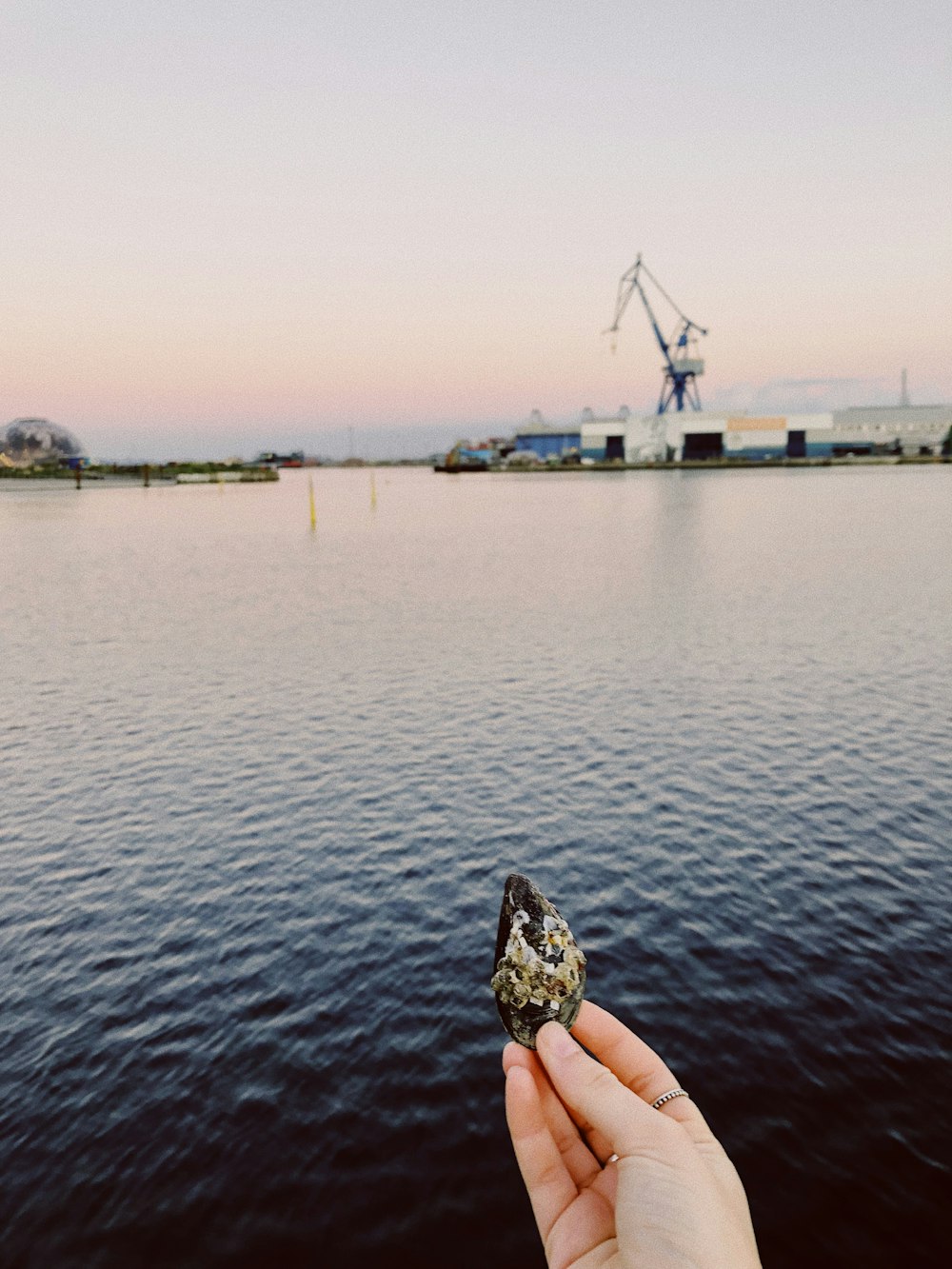 a person holding a piece of food over a body of water