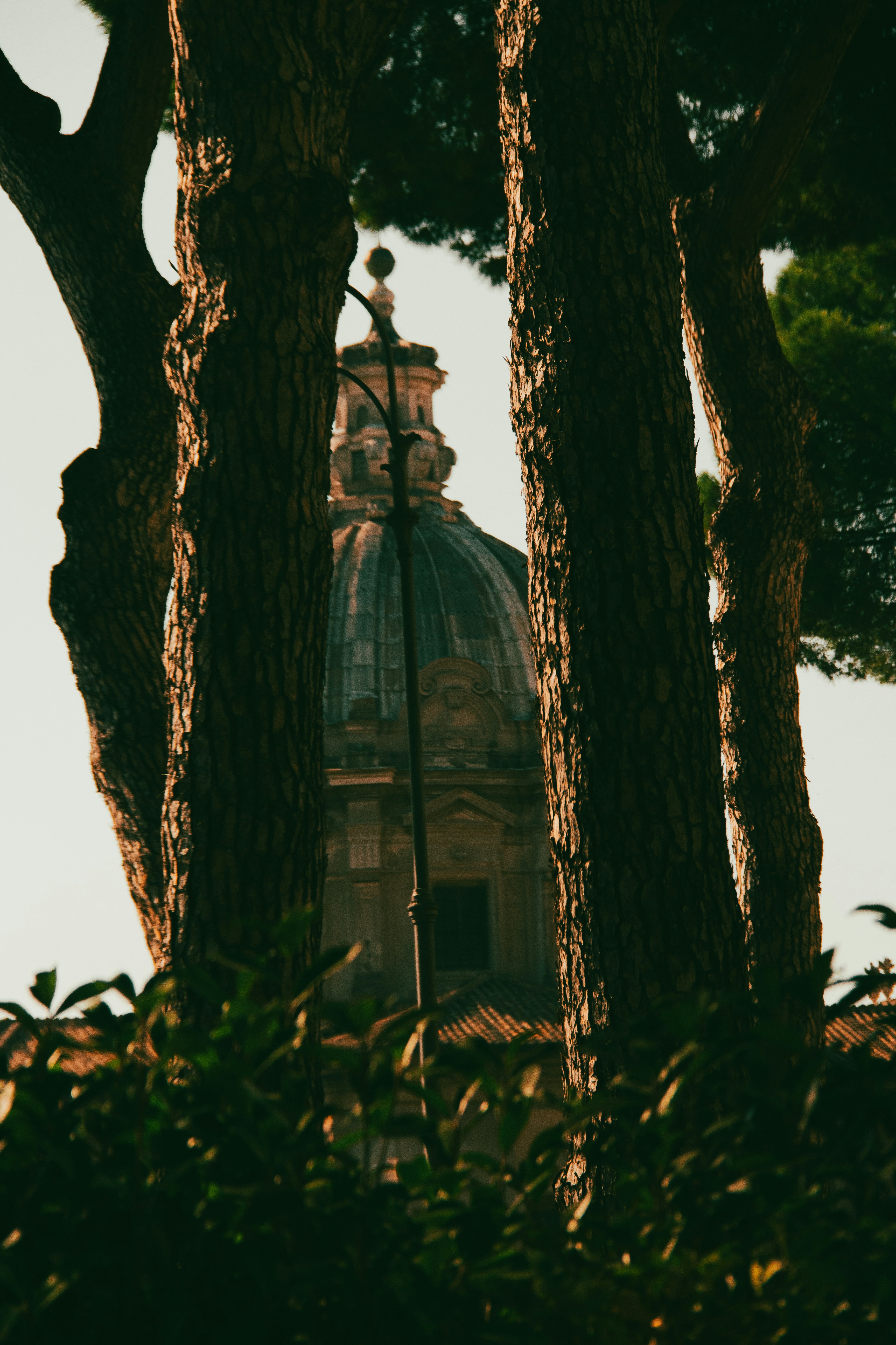 Photo by charlieh_viewfinder