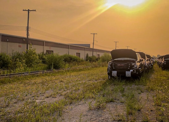 A row of commercial trucks lined up for auction on a sunny day.