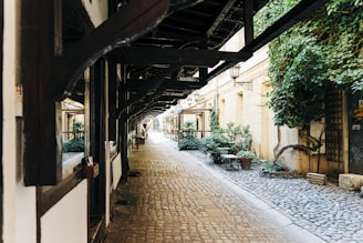 A historic cobblestone alley lined with ivy-covered buildings glowing in golden hour light.